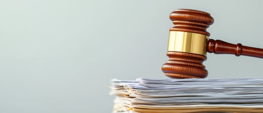 Click to play: Litigation Update: Cerame v. Slack